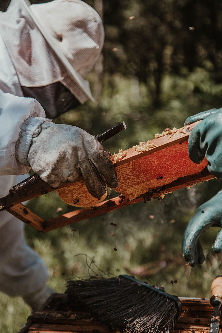 hive burning 