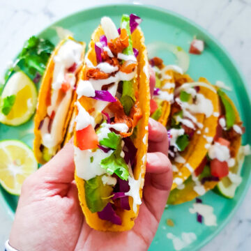 vegan jackfruit taco filled with pulled jackfruit meat