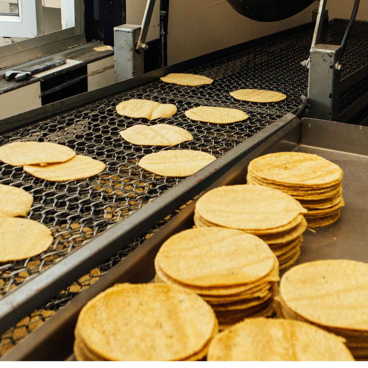 Stacks of freshly made tortillas rest on a tray beside a conveyor belt, where more tortillas cool.