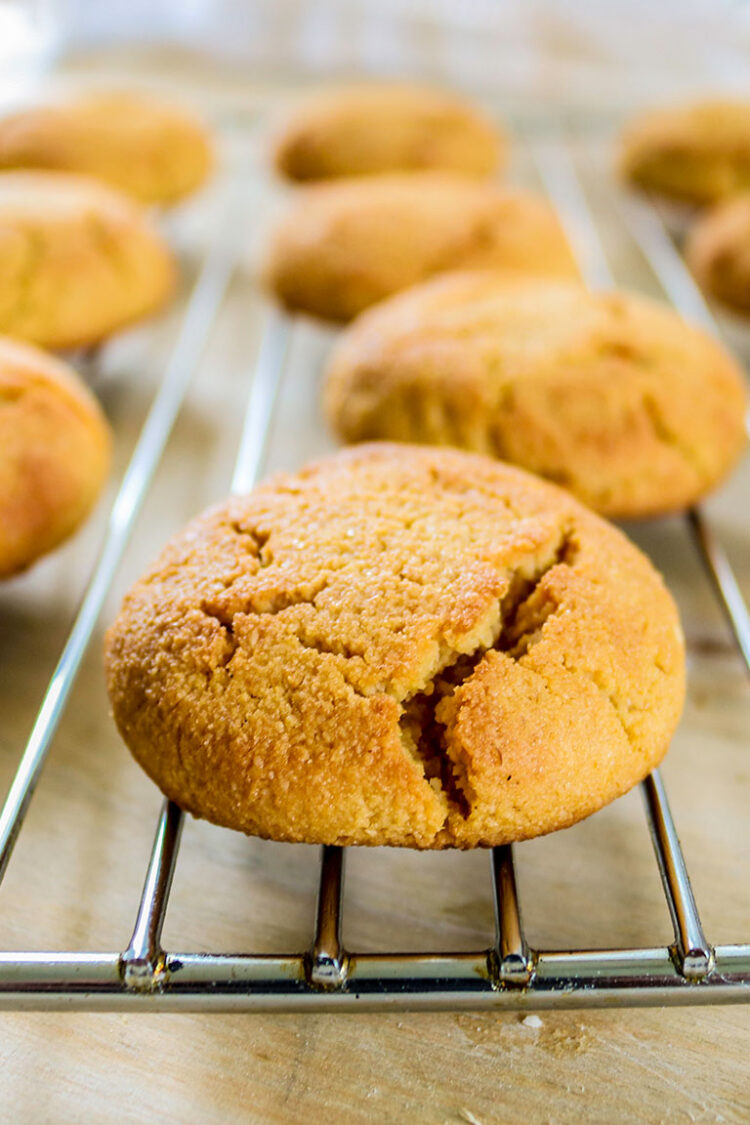 Gluten Free Pumpkin Cookies – Get Set Vegan
