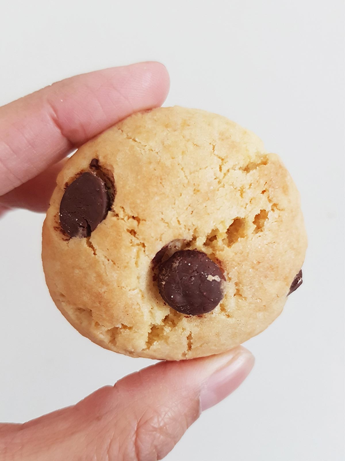 eggless chocolate chip cookies in hand