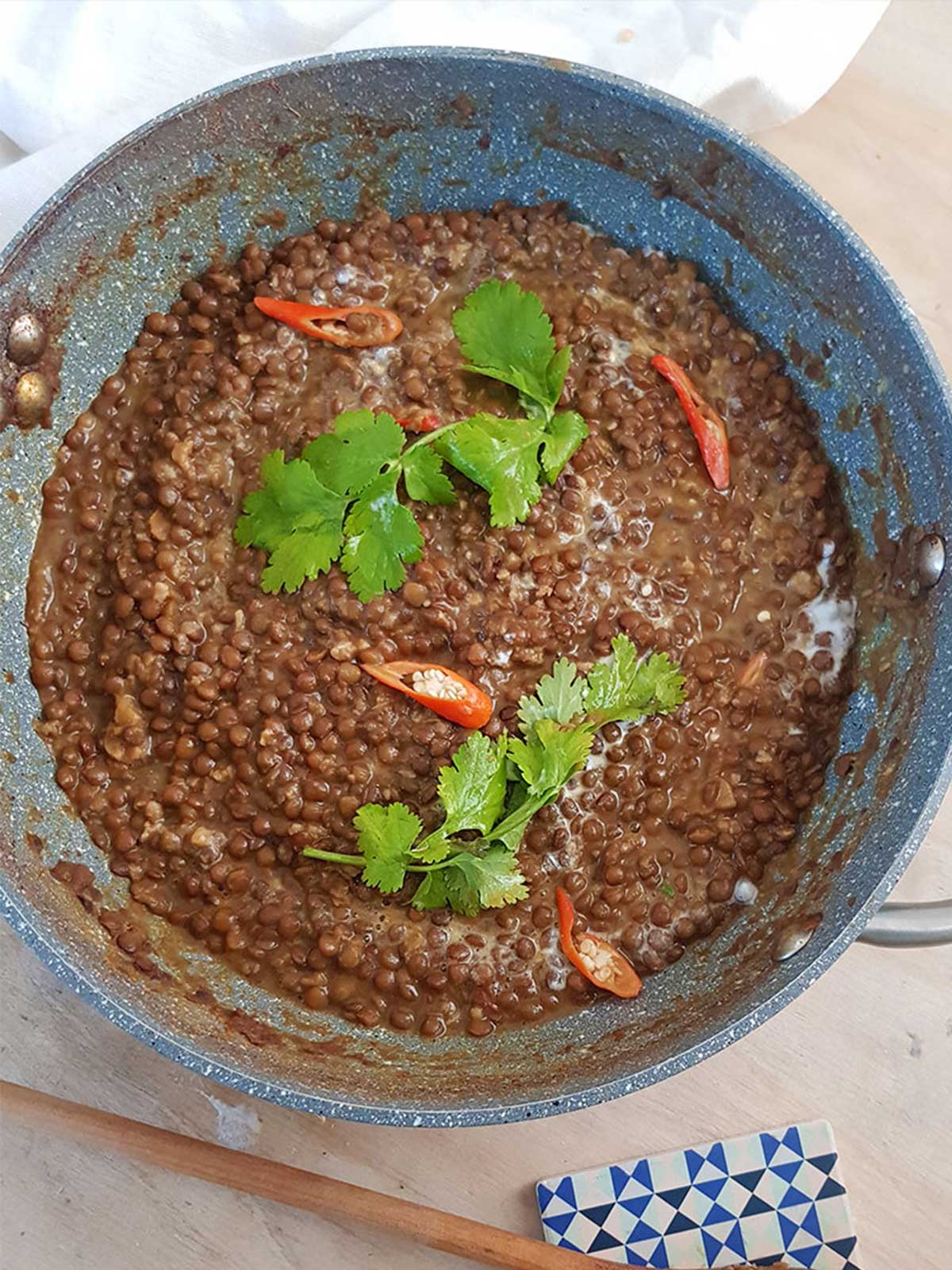 Lentil Curry 
