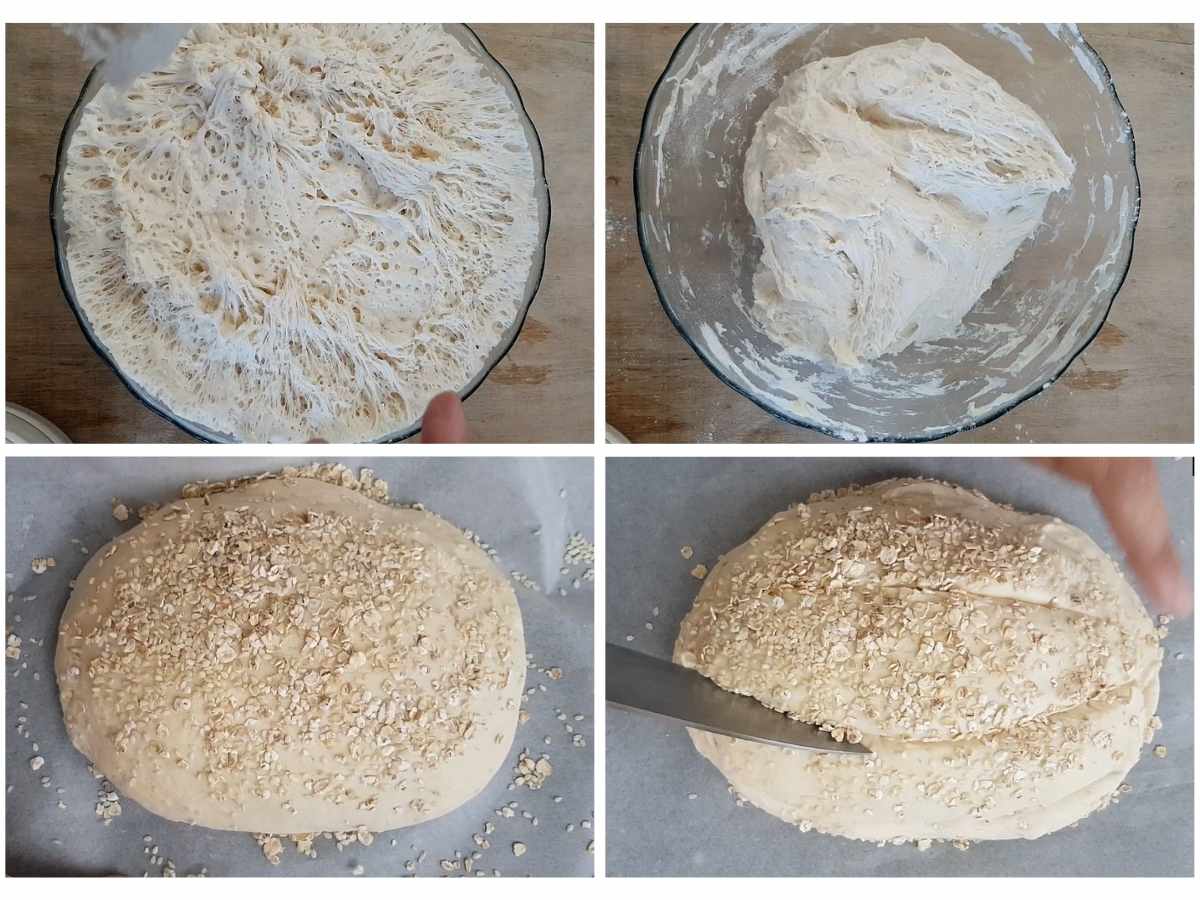 Rise and shape the dough 