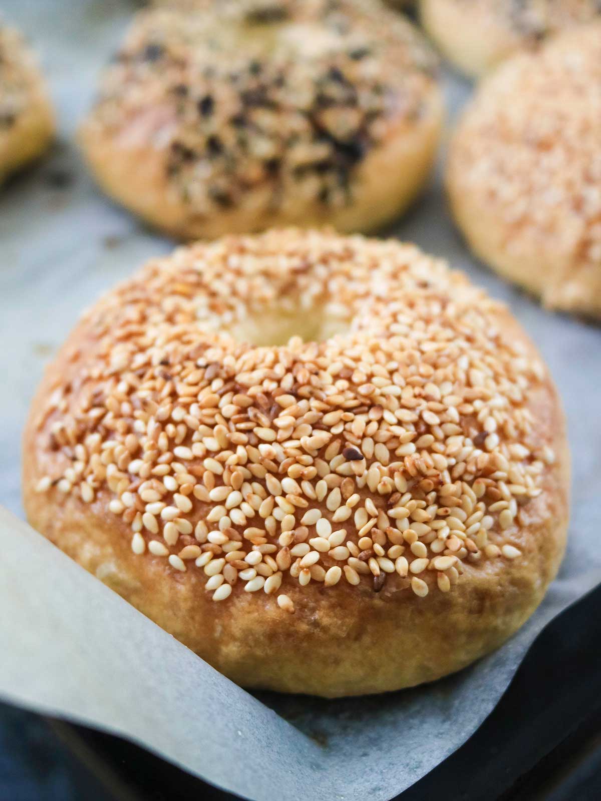 vegan bagel topped with white sesame seeds