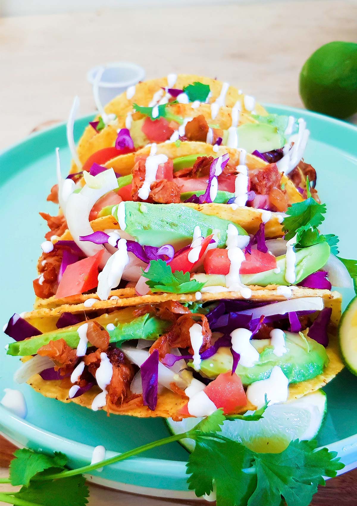 Hard shell tacos filled with pulled jackfruit meat, avocado,and cabbage.