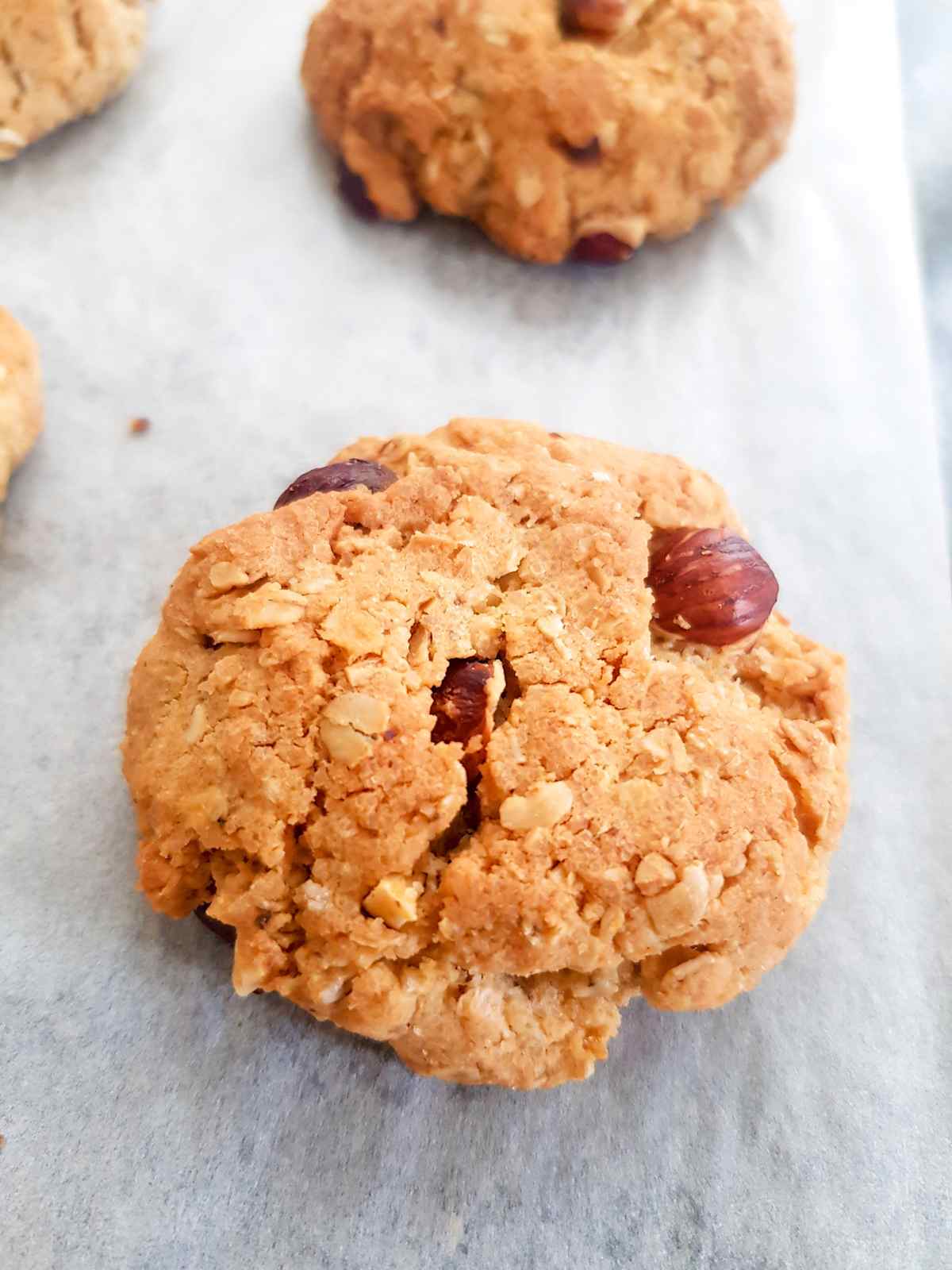 Oatmeal peanut butter cookies placed on a baking tray