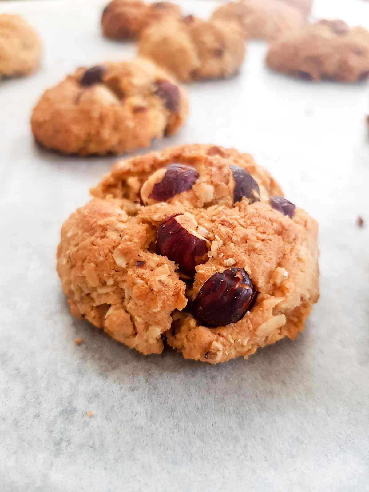 close up shot of oatmeal peanut butter cookies. 