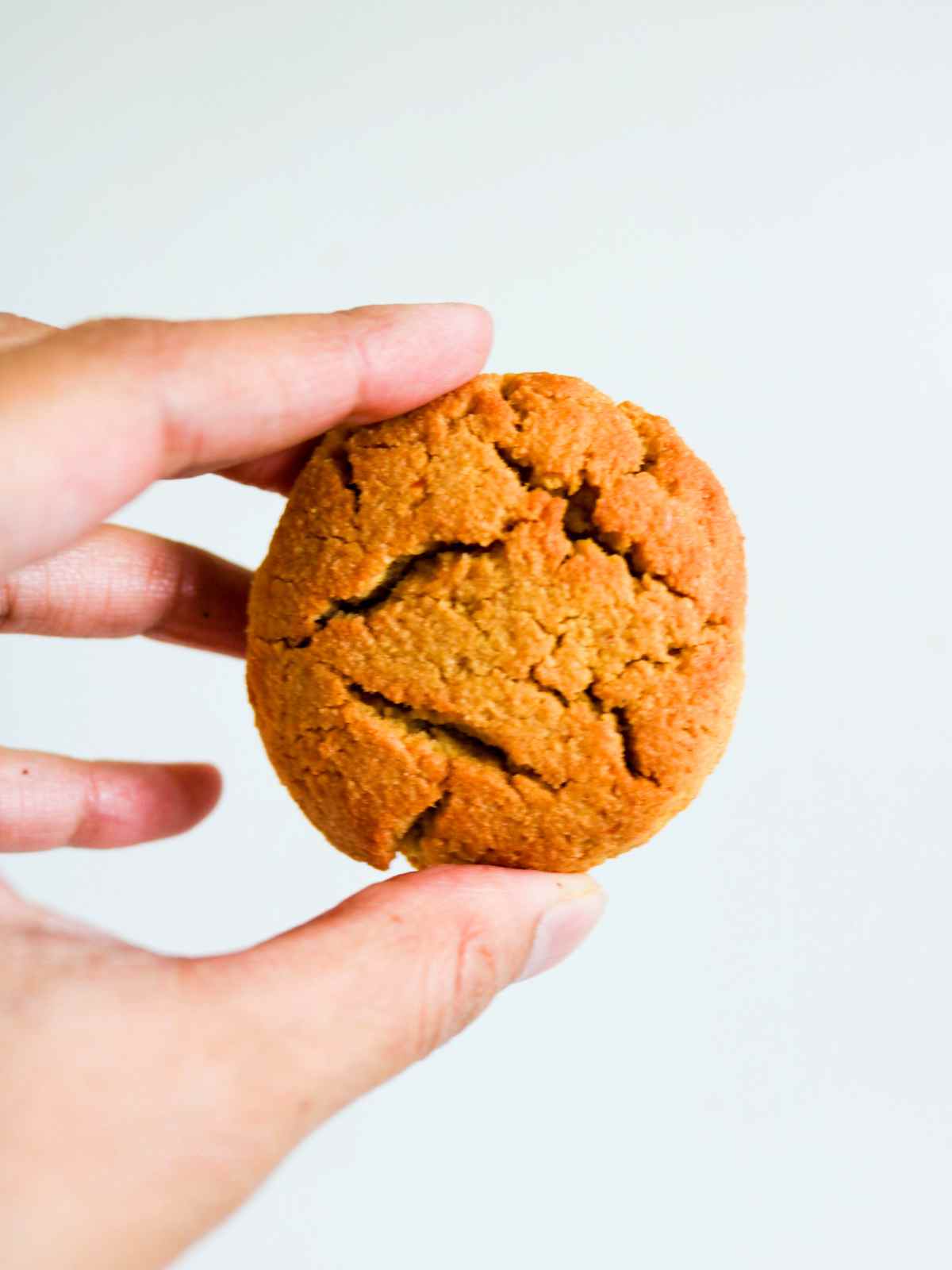Holding pumpkin almond flour cookie in hand.