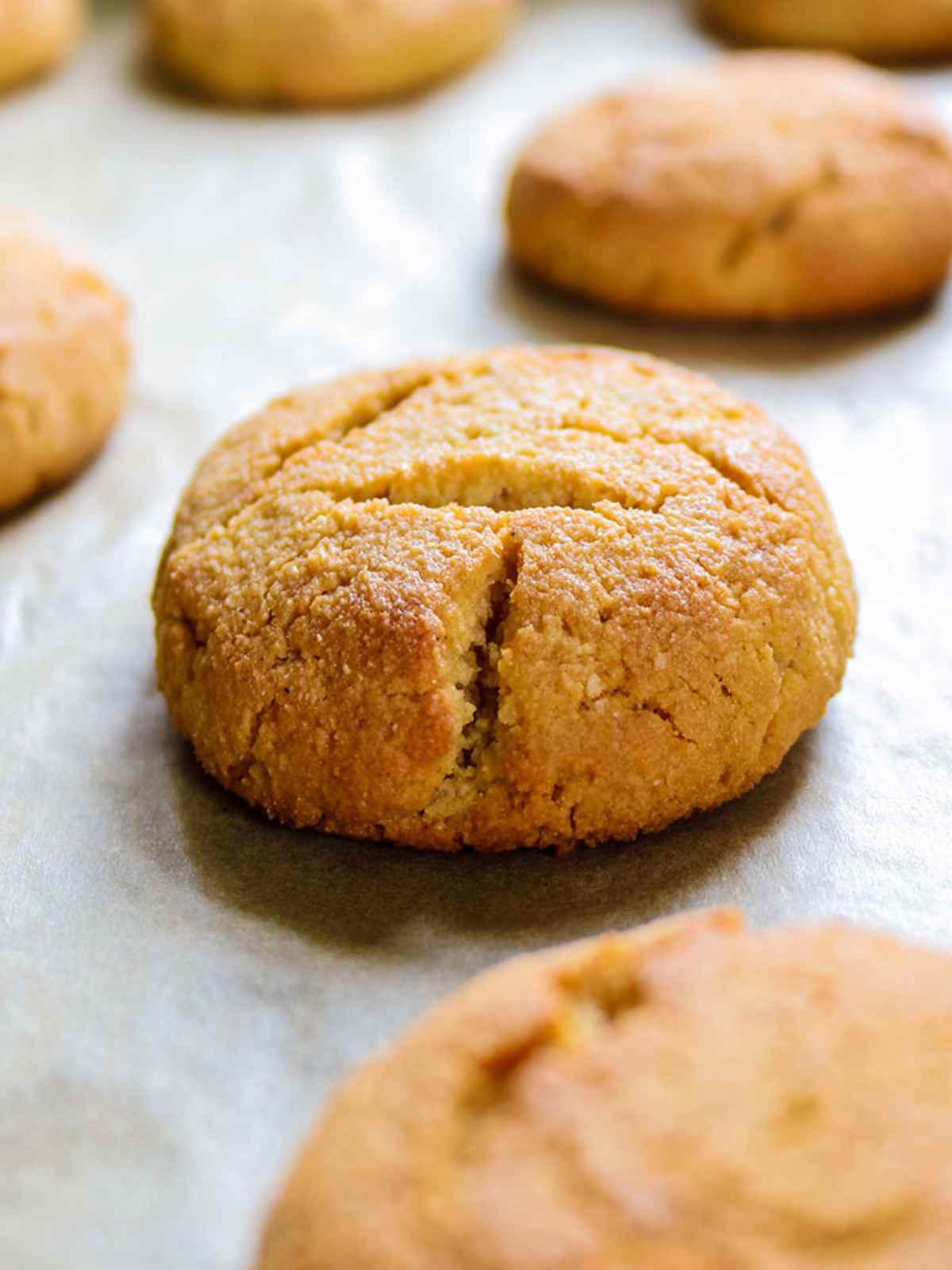 closeup shot of the baked cookie.