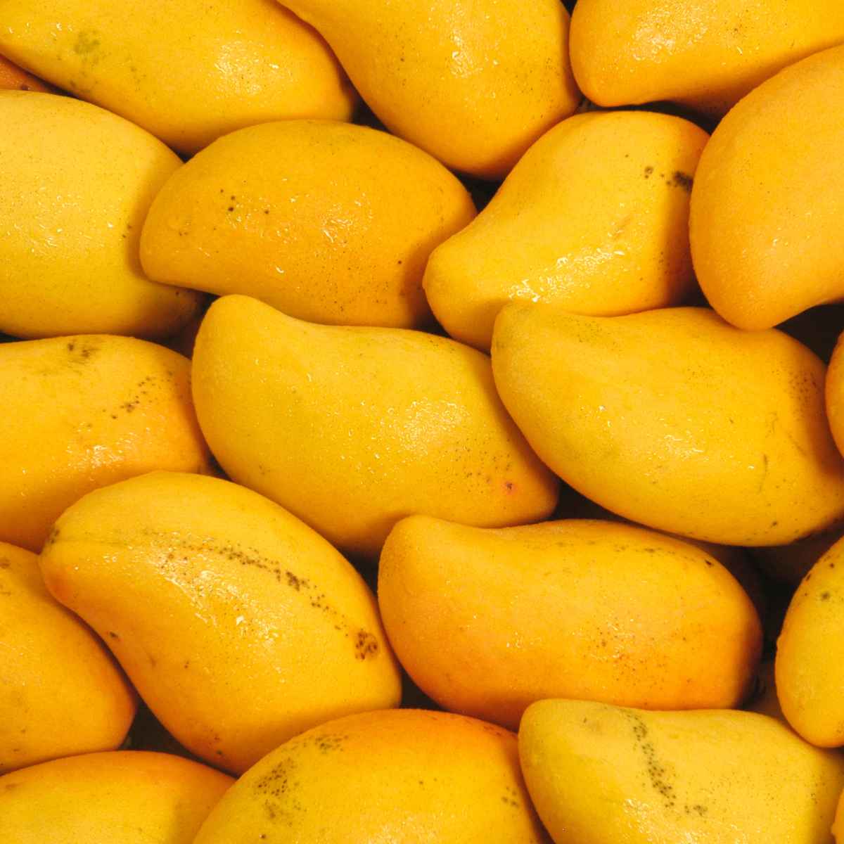 Saigon Mango.