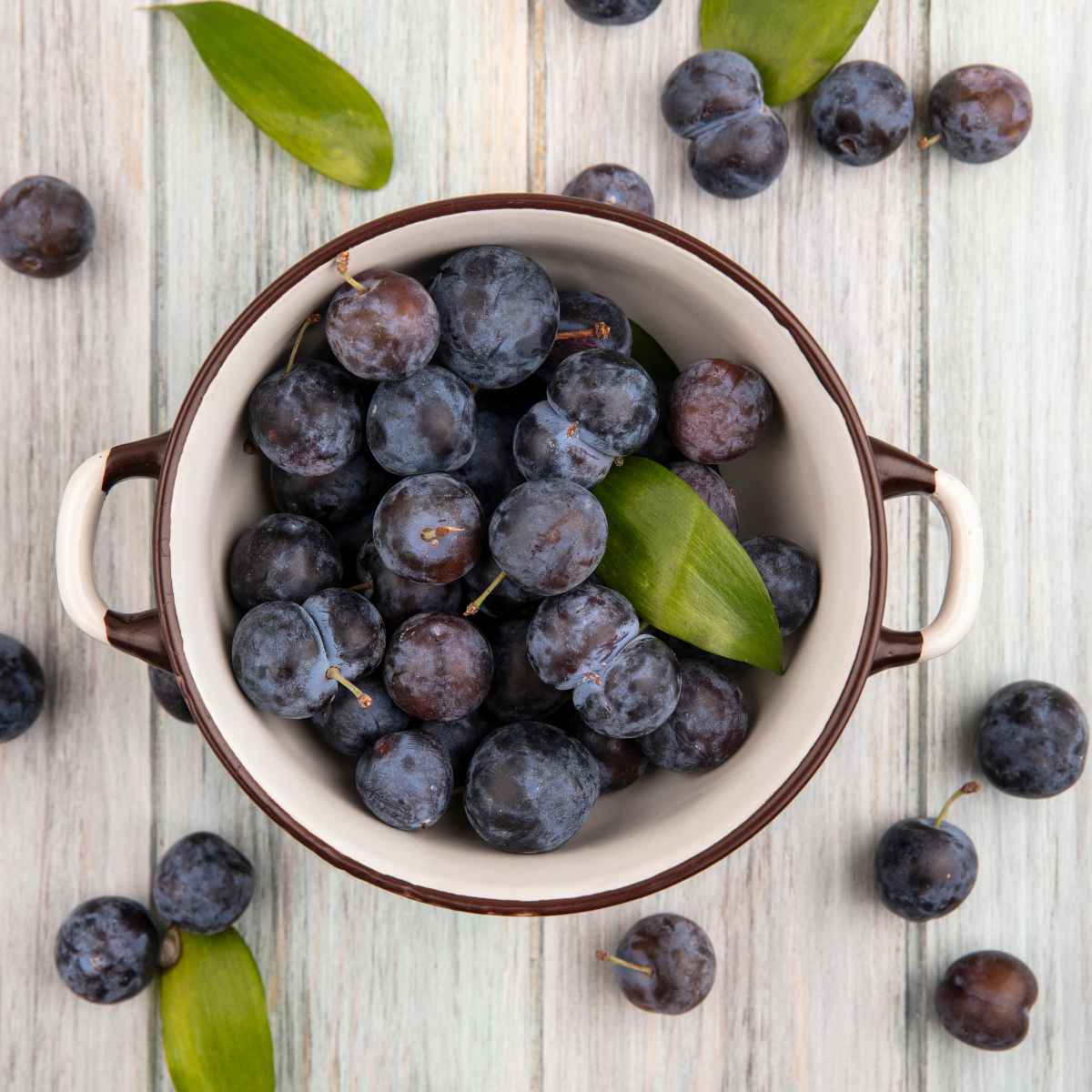 Sloe fruit placed in a pot.