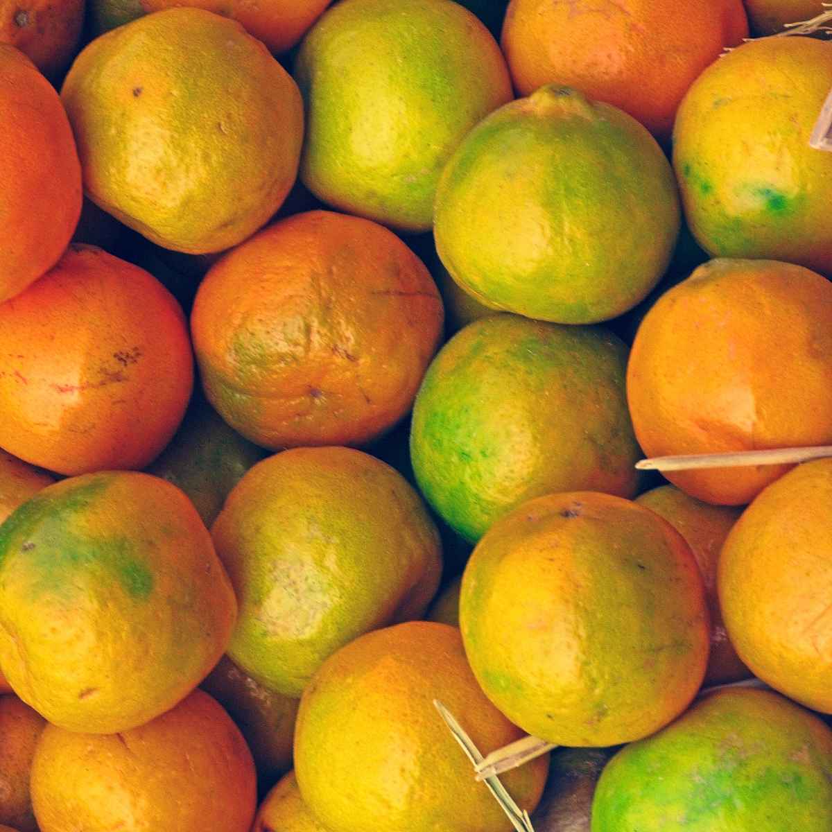 Sour Oranges.