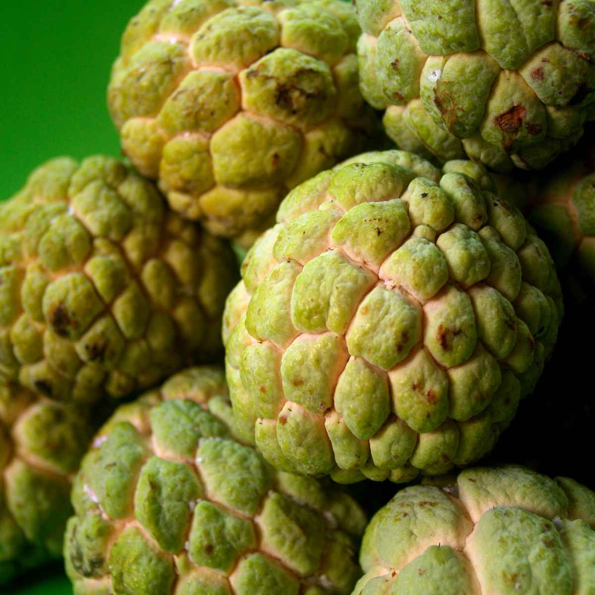 Bunch of sugar apples.