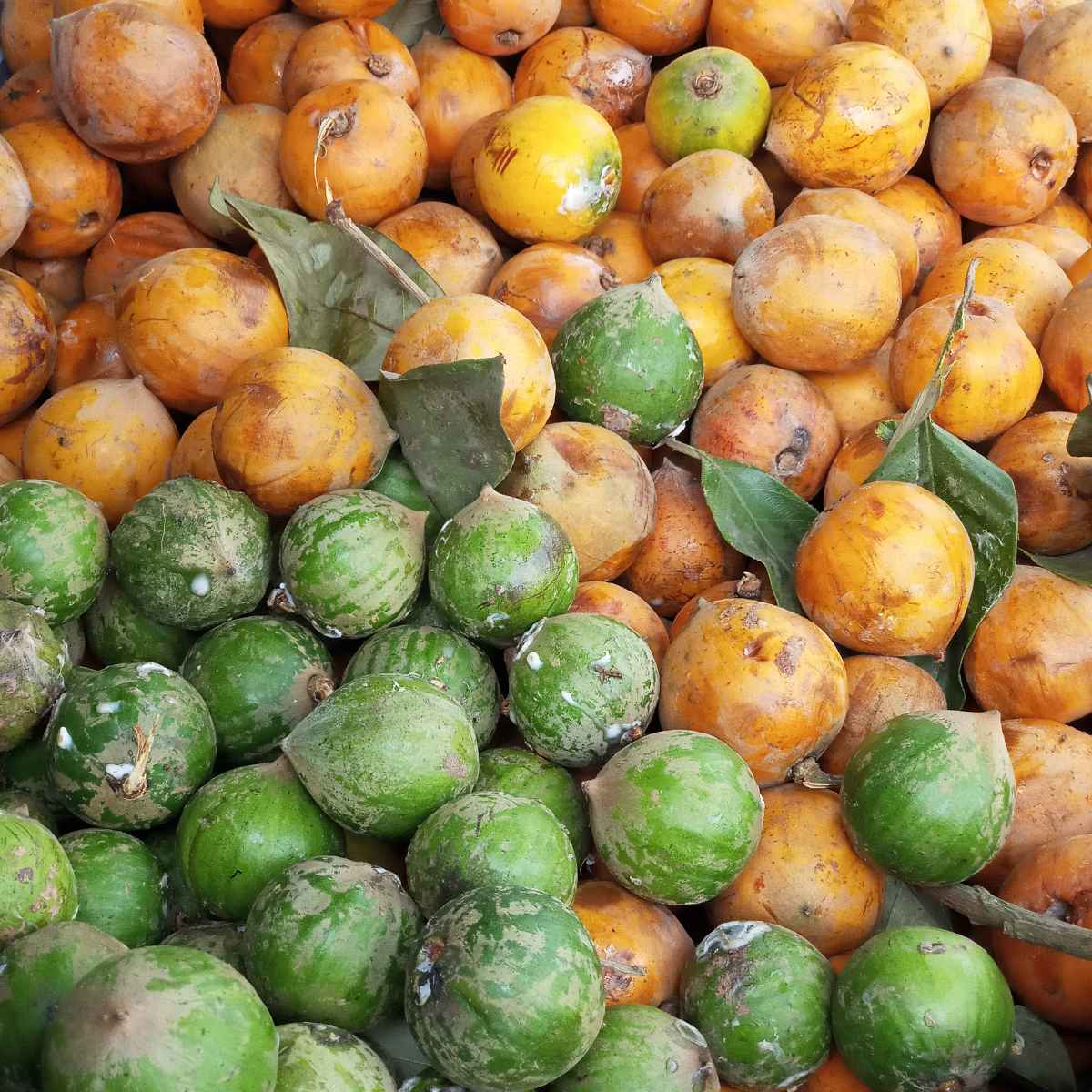 Udara fruit stack.