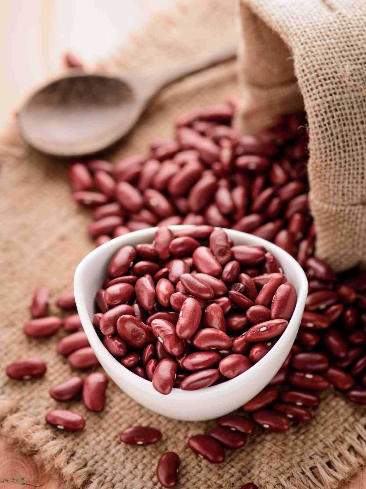 Kidney beans placed in a bowl.