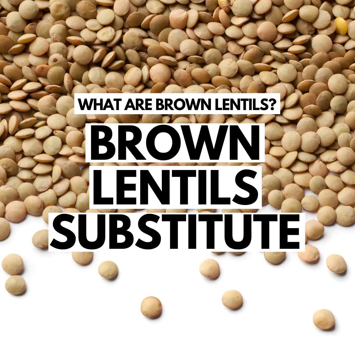 What are Brown Lentils? Guide to Brown Lentils Substitute – Get Set Vegan