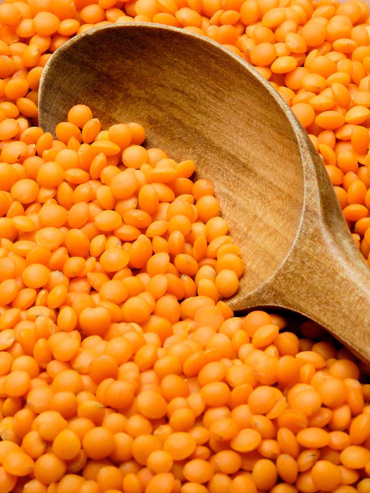 Orange Lentils placed on wooden spoon. 