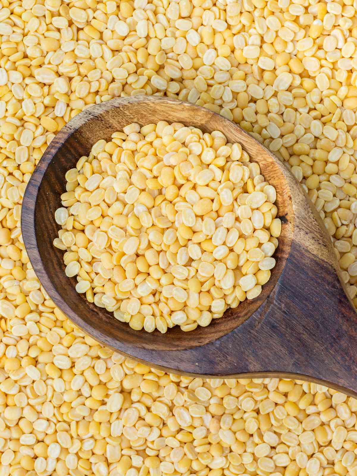 Yellow Lentils placed on wooden spoon. 