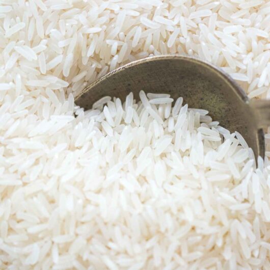 Substitute For Rice Quinoa Substitutes – Get Set Vegan