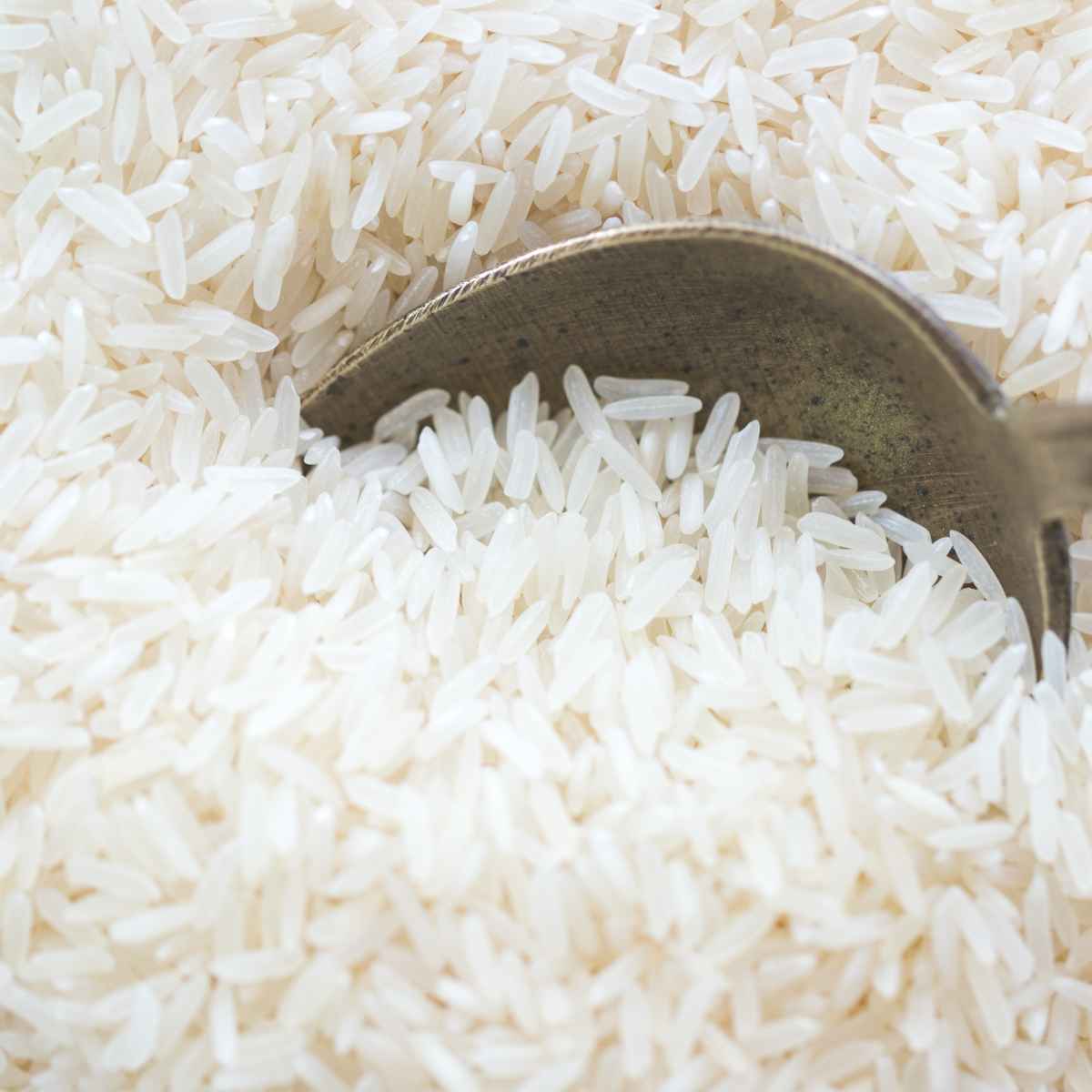 Rice on a spoon.