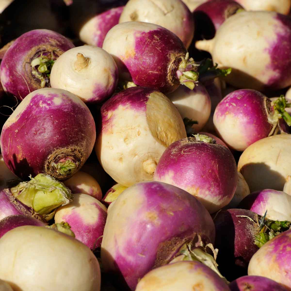 Turnips.