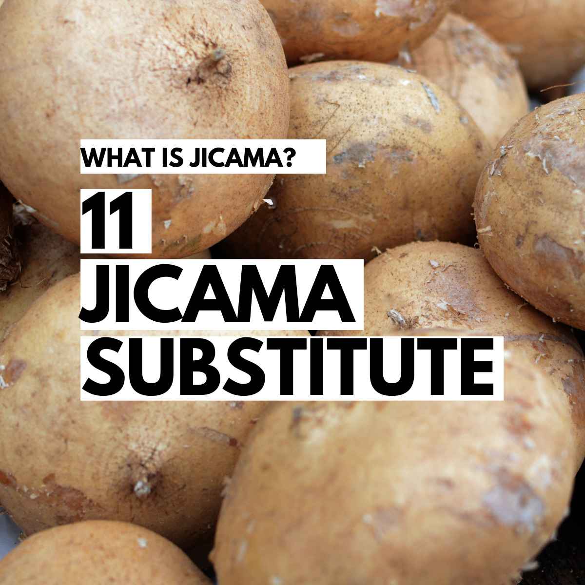 11 jicama substitutes.