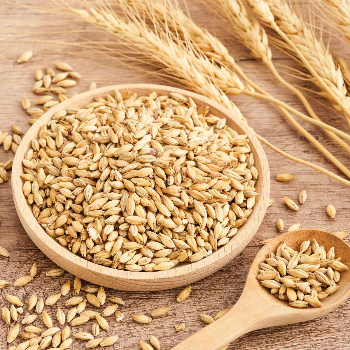 Barley  placed on a round wooden plate.