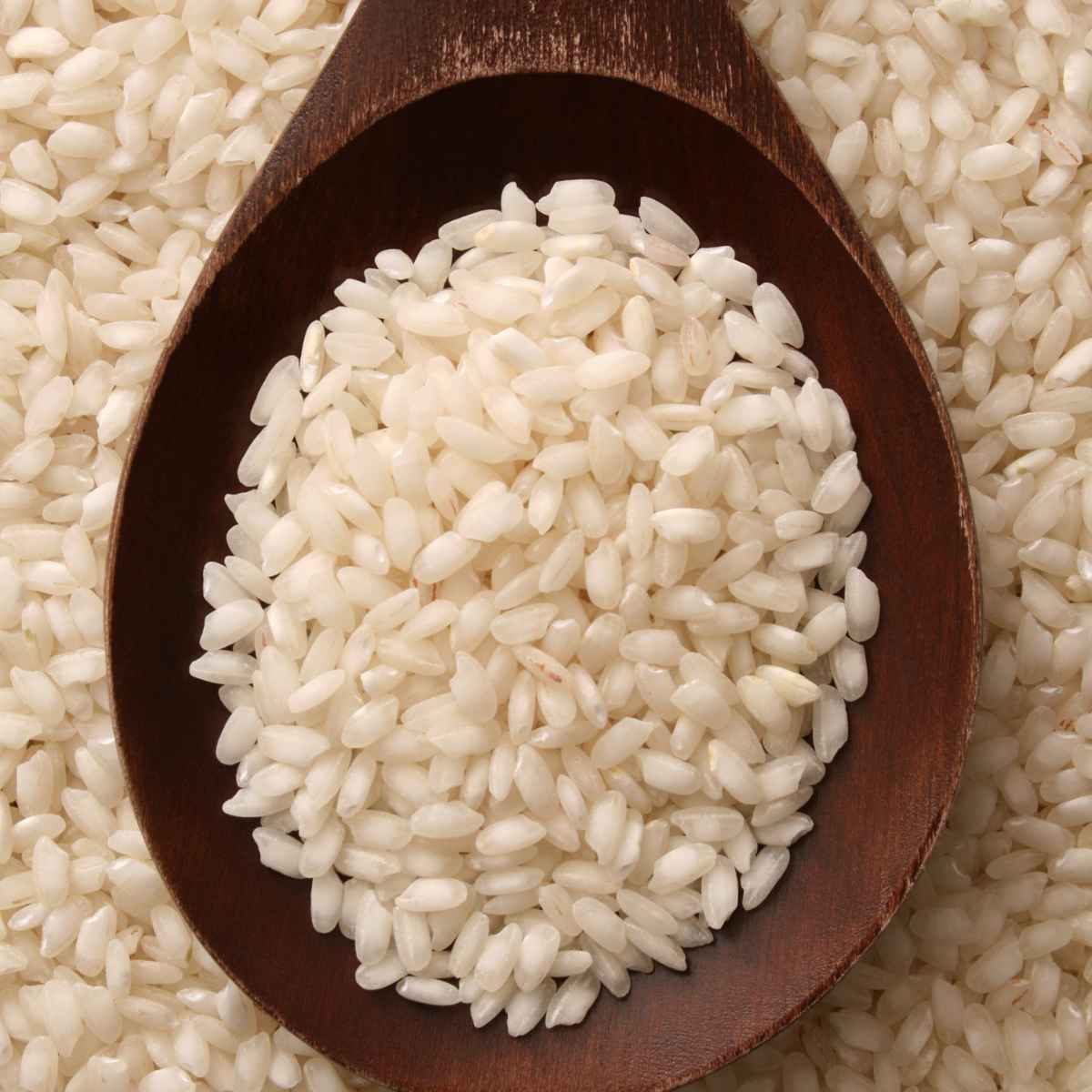 Arborio Rice on a dark brown spoon.
