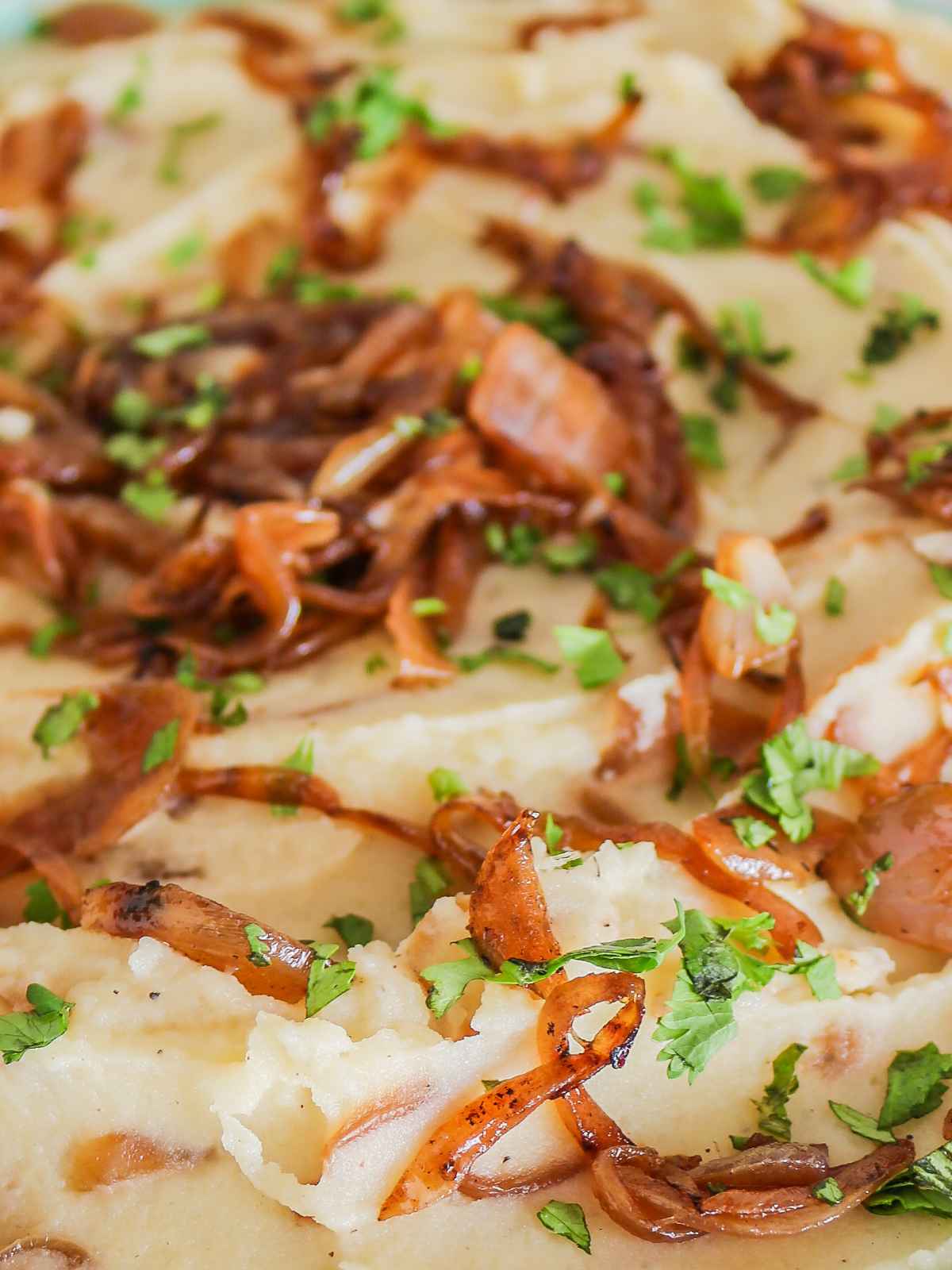 Closeup shot of mashed potatoes showing the texture.