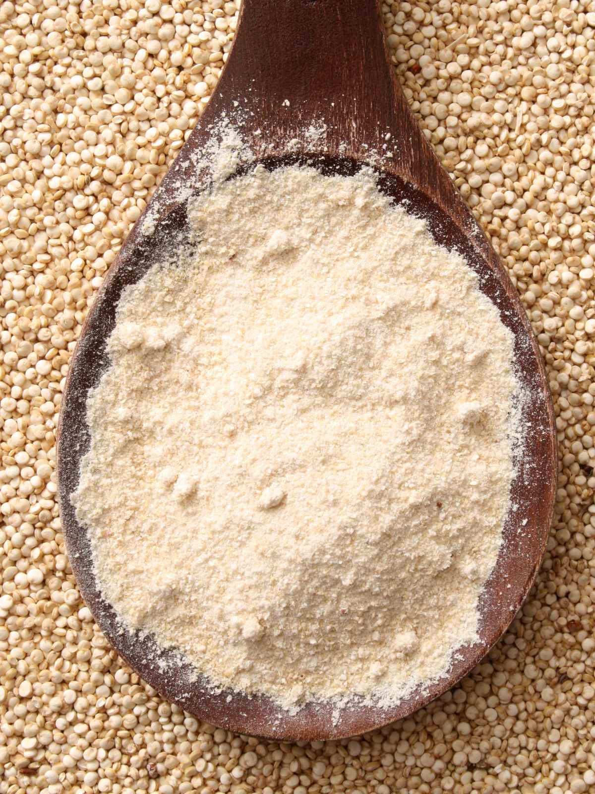 A wooden spoon filled with quinoa flour is placed on quinoa grains.