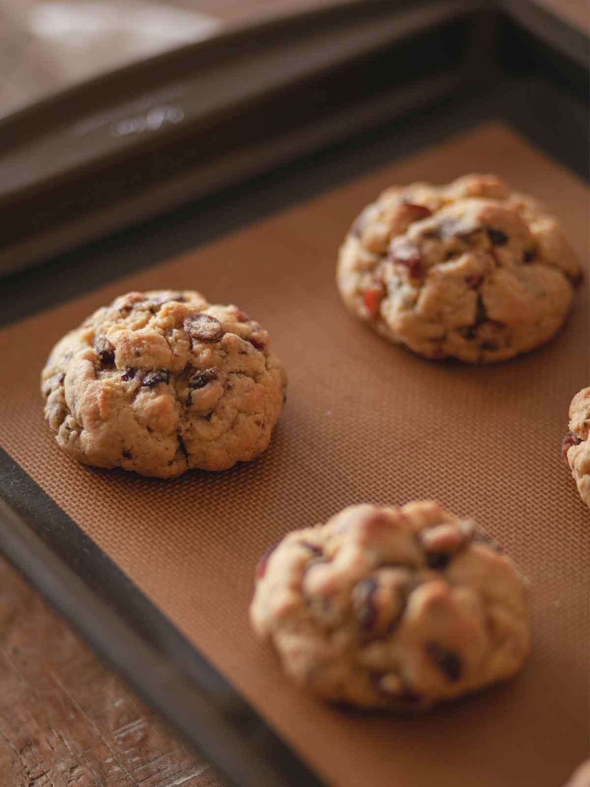 Cookies baked with teff flour.