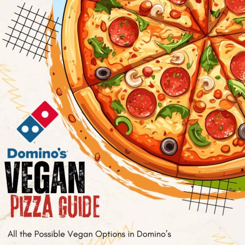 vegan pizza guide banner illustration