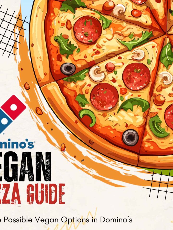 vegan pizza guide banner illustration