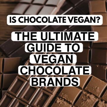 Close-up of assorted chocolate bars with text overlay: "Is chocolate vegan? The ultimate guide to vegan chocolate brands." Rich, indulgent tone.